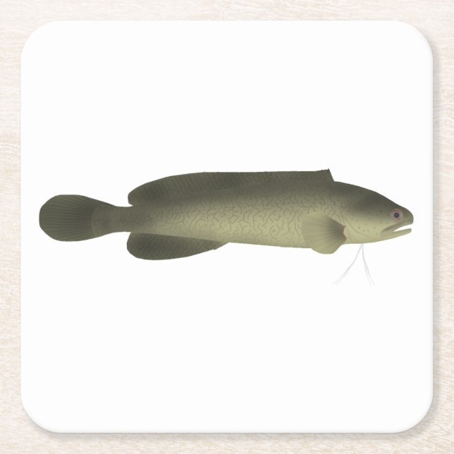 River Blackfish-utskrift, Poster Pappert (projekti Underlägg Papper Kvadrat (Framsidan)