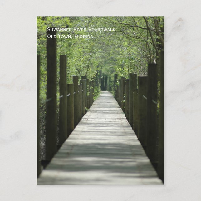 River Boardpromenavykort Vykort (Framsida)