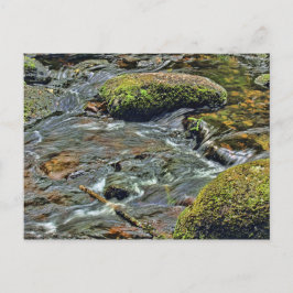 River Dart i Dartmet Dartmoor Vykort