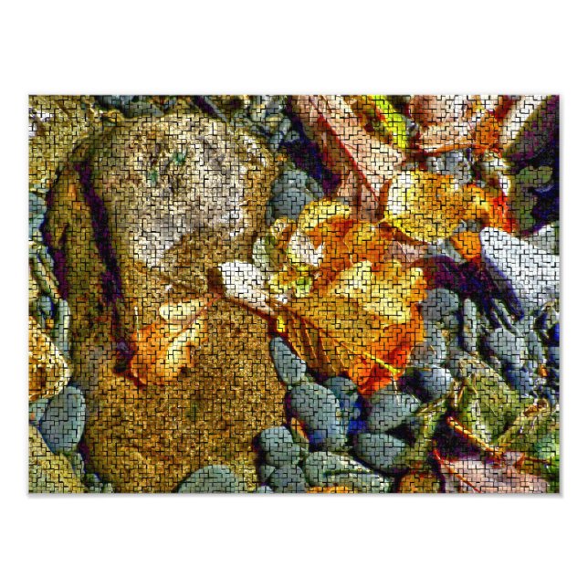 RIVER FOTOTRYCK (Framsidan)