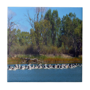 "River Murray's Fishermen: A Pelican Gathering" Kakelplatta