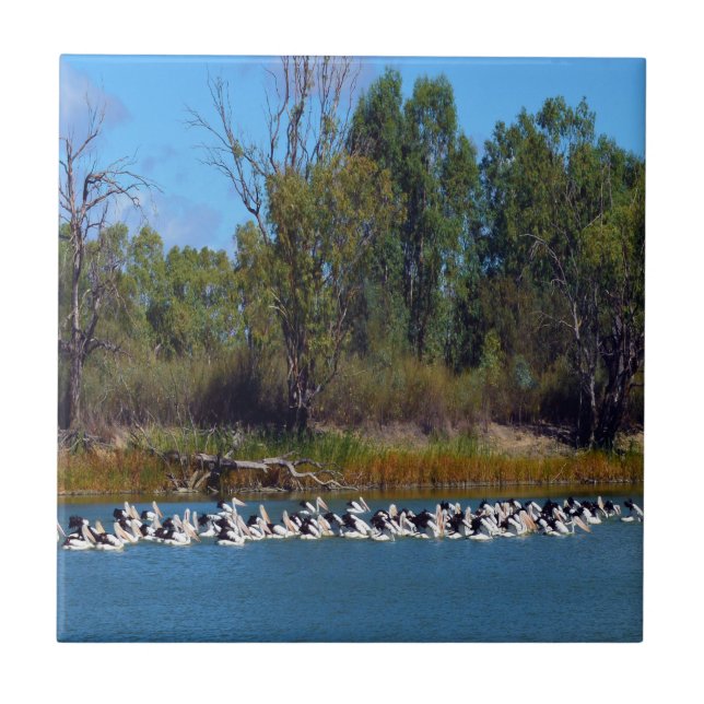 "River Murray's Fishermen: A Pelican Gathering" Kakelplatta (Framsidan)