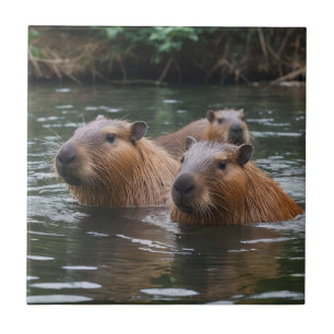 "River Serenity: Capybaras Swimming in Flow" Kakelplatta