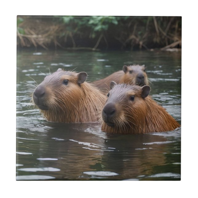 "River Serenity: Capybaras Swimming in Flow" Kakelplatta (Framsidan)