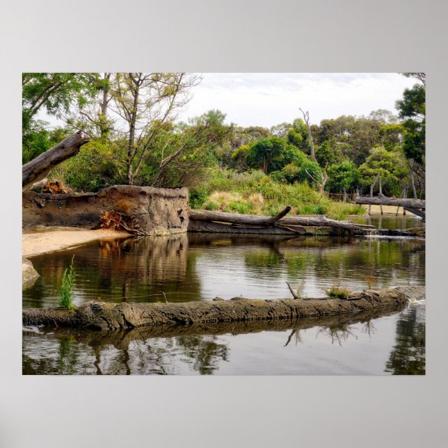 Riverbank Ligcape Reflections Lush Greenery Poster (Framsidan)