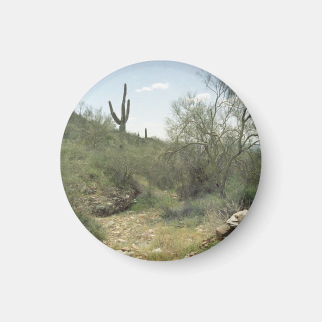 Riverbed Memory Desert Refrigerator Magnet (Framsidan)
