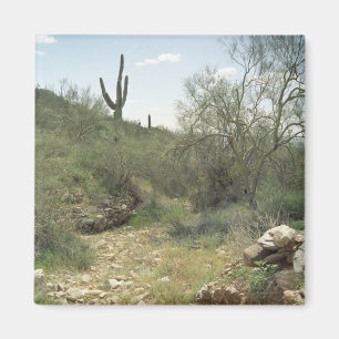Riverbed Memory Desert Refrigerator Magnet
