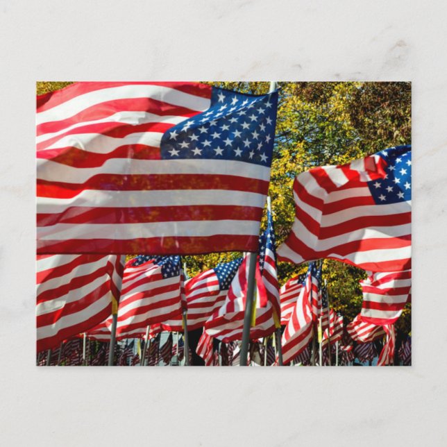 Riverdale, New York, USA. Vin land Vykort (Framsida)