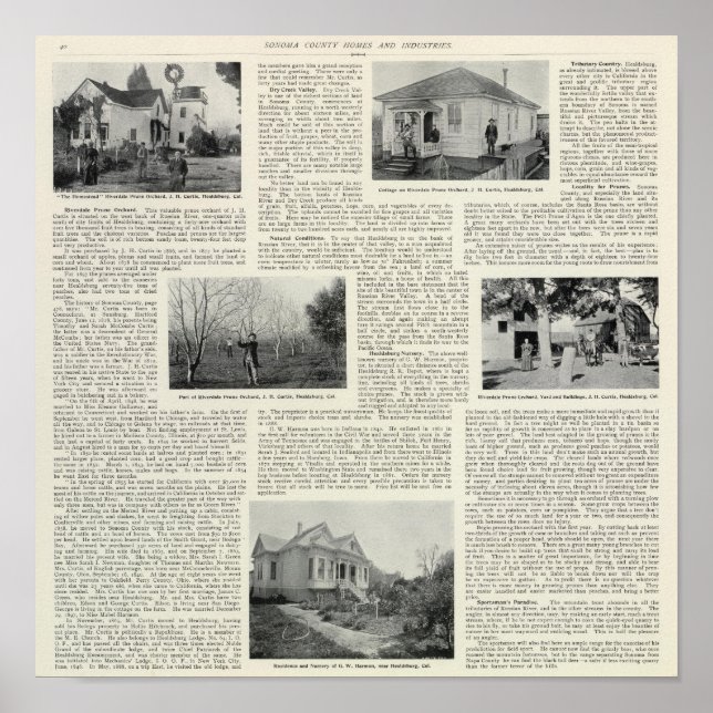 Riverdale Prune Orchard, Kalifornien Poster (Framsidan)