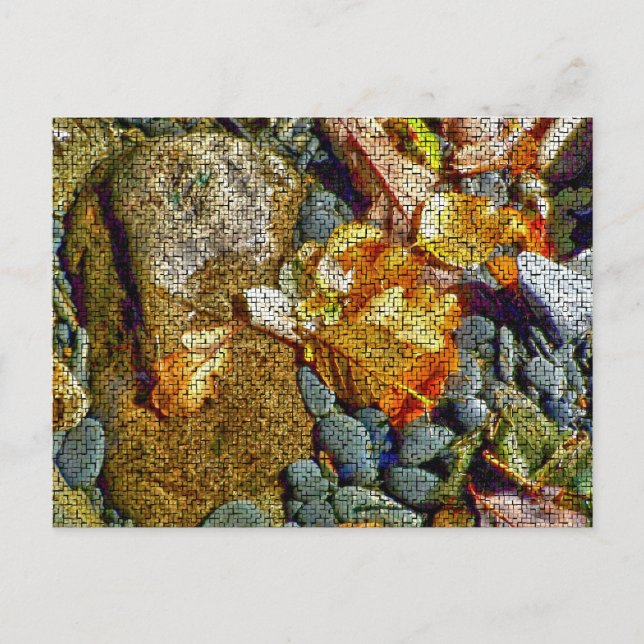 RIVERS VYKORT (Framsida)