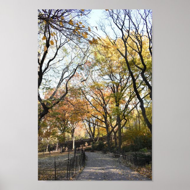 Riverside Park Fall Foliage New York Autumn NYC Poster (Framsidan)