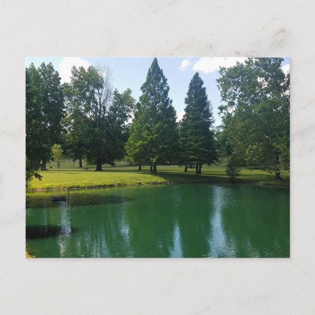 Riverside Park Murphysboro Illinois Scenia Pond Vykort (Framsida)
