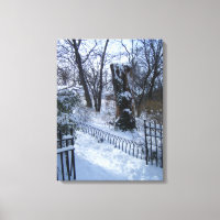 Riverside Park NYC Snö Winter Träd New York Photo