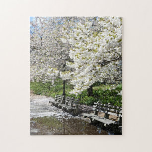 Riverside Park Vår Cherry Blommars New York NYC Pussel