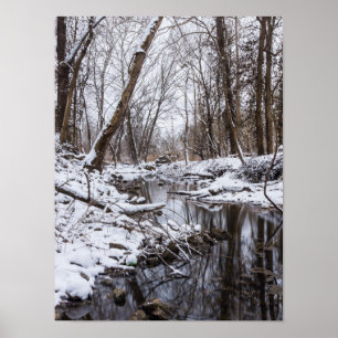 Riverside Snö Poster