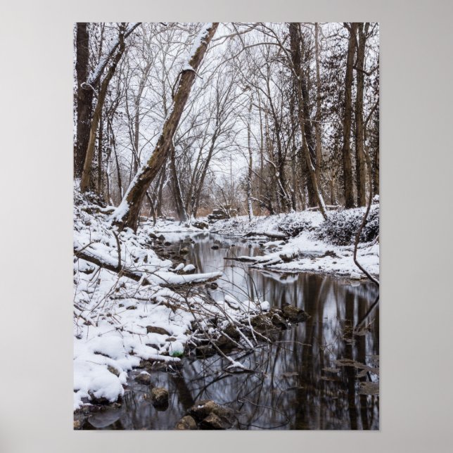 Riverside Snö Poster (Framsidan)