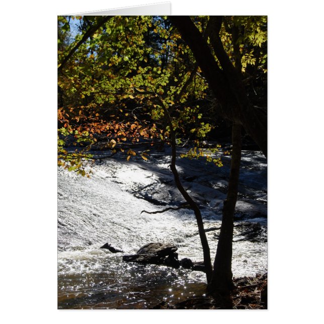 Riverside Sparkles Hälsningskort (Framsidan)