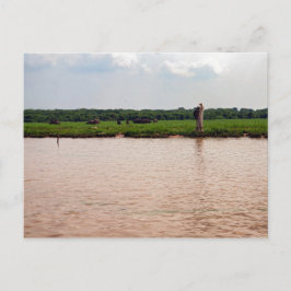 Riverside Vatten Buffalo och Fisherman, Kambodja Vykort