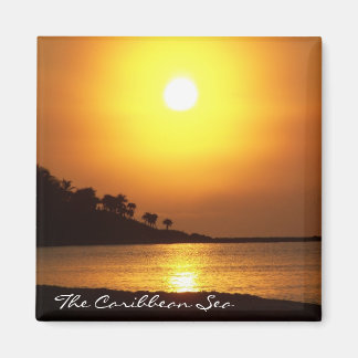 Riviera Maya Cancun Mexico VästindiSea Magnet