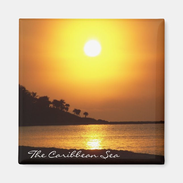 Riviera Maya Cancun Mexico VästindiSea Magnet (Framsidan)