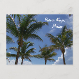 Riviera Maya Cancun, Mexiko Handflatan Träd Vykort