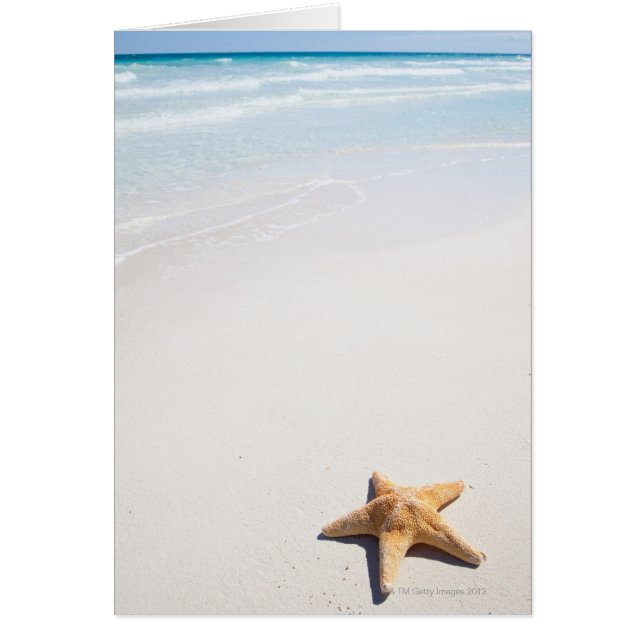 Riviera Maya Hälsningskort (Framsidan)