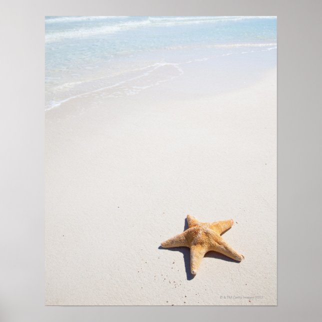 Riviera Maya Poster (Framsidan)