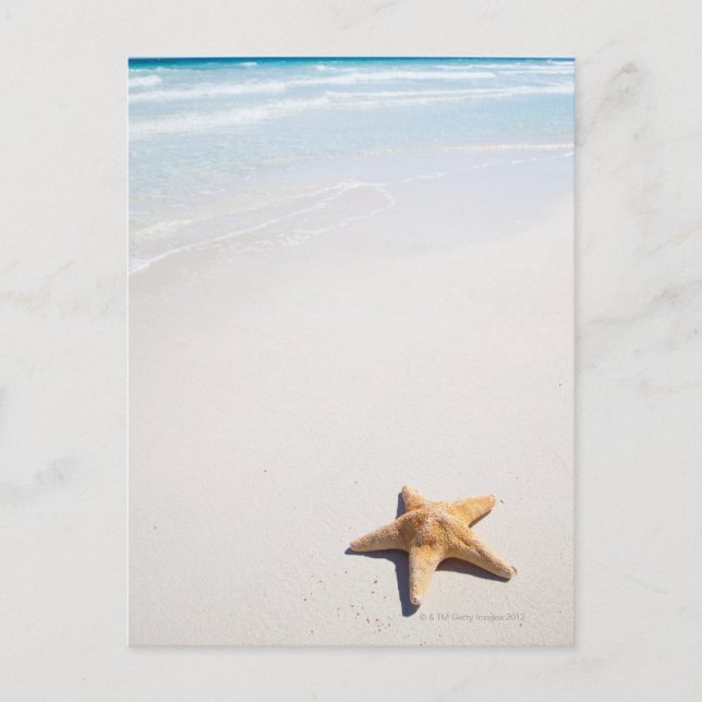 Riviera Maya Vykort (Framsida)