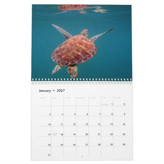 Riviera MayaMexico kalender (Jan 2027)