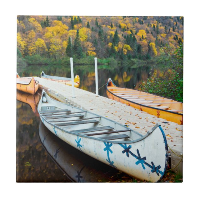 Rivière Jacques-Cartier | Rabaskas skeppsdocka Kakelplatta (Framsidan)