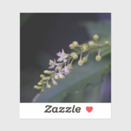 Rivina förödmjuks klistermärken