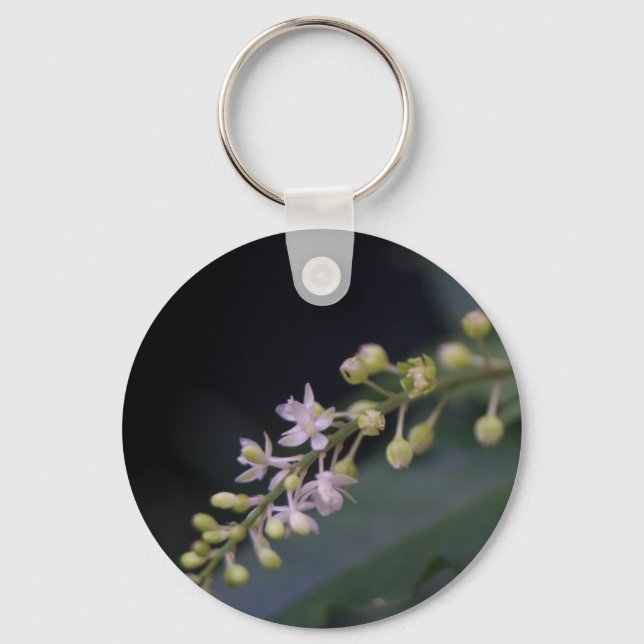 Rivina förödmjuks nyckelring (Framsida)