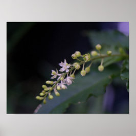 Rivina förödmjuks poster