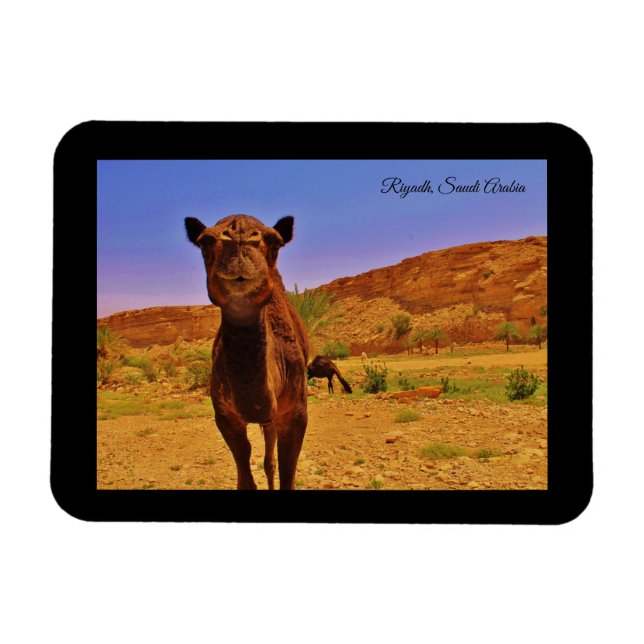 Riyadh, Saudiarabien Magnet (Horisontell)
