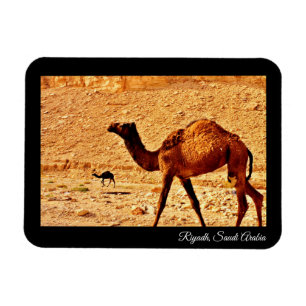 Riyadh, Saudiarabien Magnet