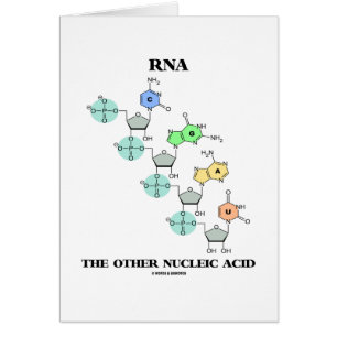 RNA den annan kemiska Nucleic syran (strukturera), Hälsningskort