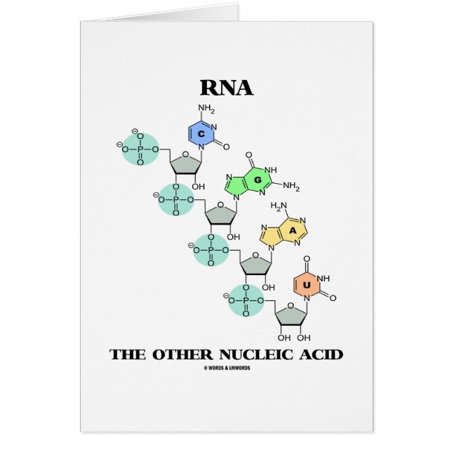 RNA den annan kemiska Nucleic syran (strukturera), Hälsningskort (Framsidan)