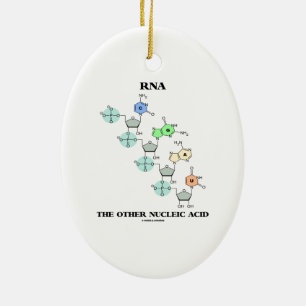 RNA den annan kemiska Nucleic syran (strukturera), Julgransprydnad Keramik