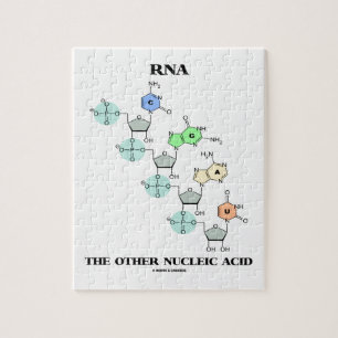 RNA den annan kemiska Nucleic syran (strukturera), Pussel