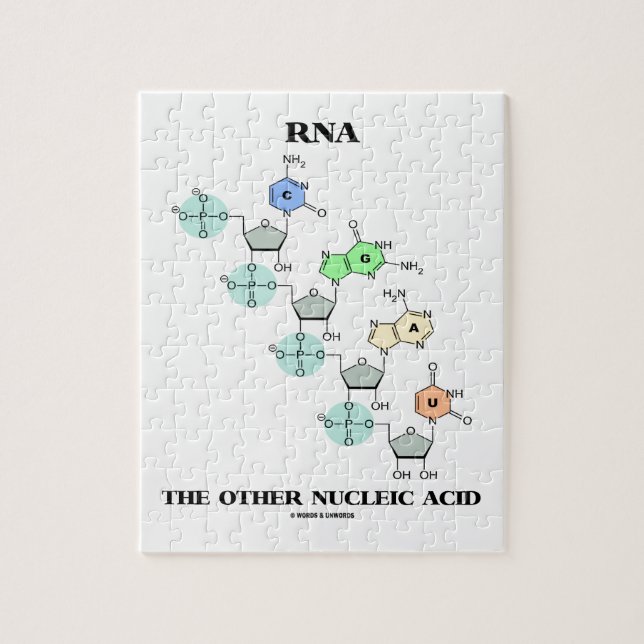RNA den annan kemiska Nucleic syran (strukturera), Pussel (Vertikal)