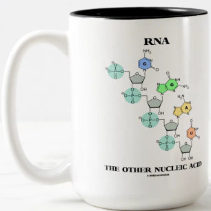 RNA den annan kemiska Nucleic syran (strukturera), Två-Tonad Mugg