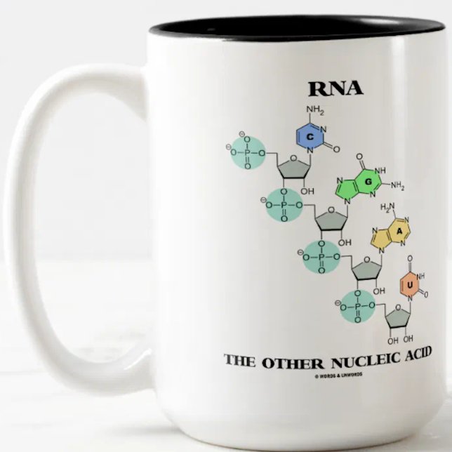 RNA den annan kemiska Nucleic syran (strukturera), Två-Tonad Mugg (Molecular biologists will enjoy this mug featuring "RNA The Other Nucleic Acid")