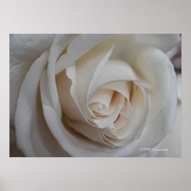 Ro 16 poster (Framsidan)