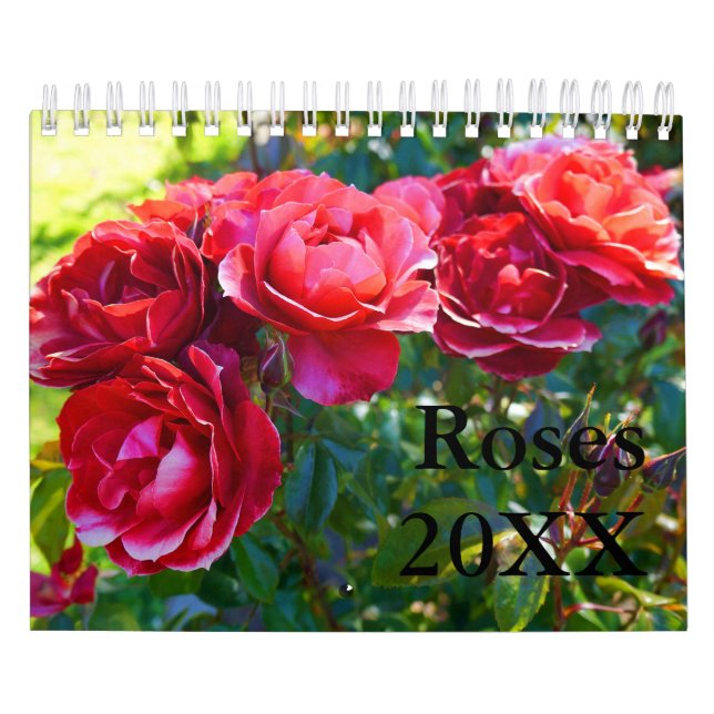Ro #1-kalender kalender (Omslag)