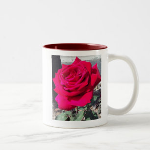 RO #1 MUGG