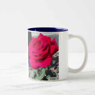 RO #1 MUGG