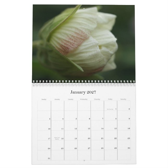 Ro 2009 kalender (Jan 2027)
