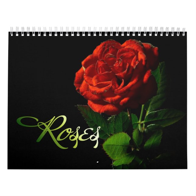 Ro 2013-kalender kalender (Omslag)