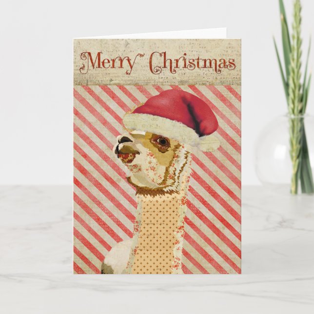 Ro Alpaca-julkort Helgkort (Framsida)