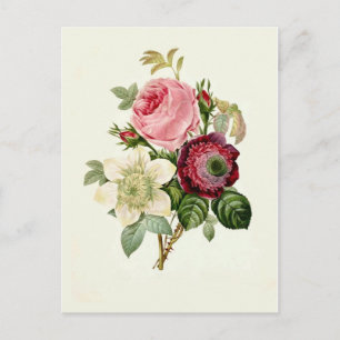 Ro, Anemone och Clematis av Pierre-Joseph Redouté Vykort